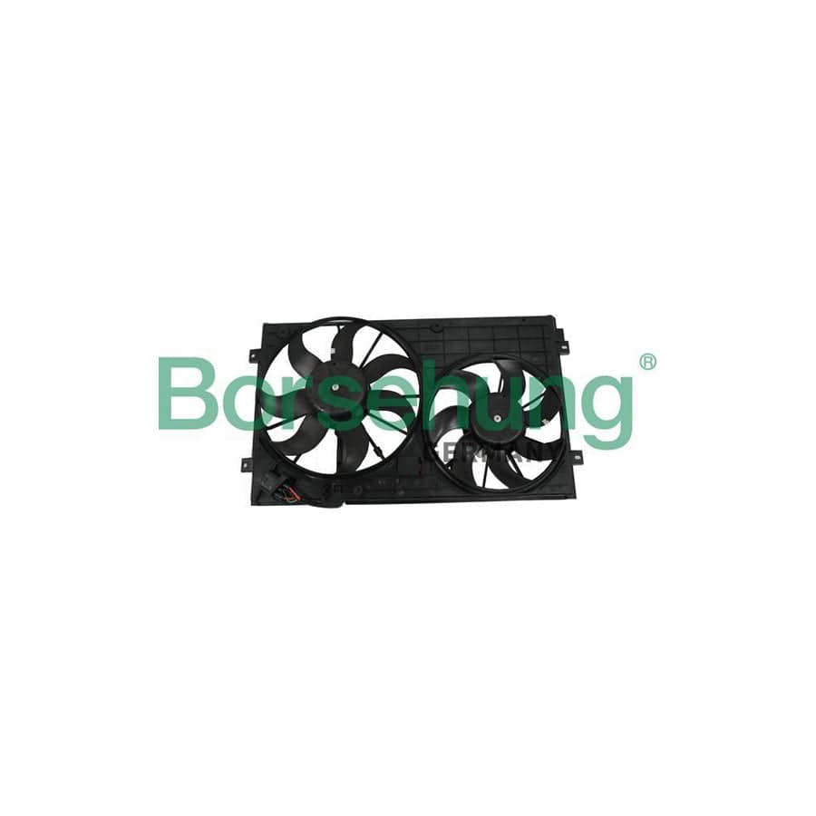 Borsehung B11498 Fan, Radiator