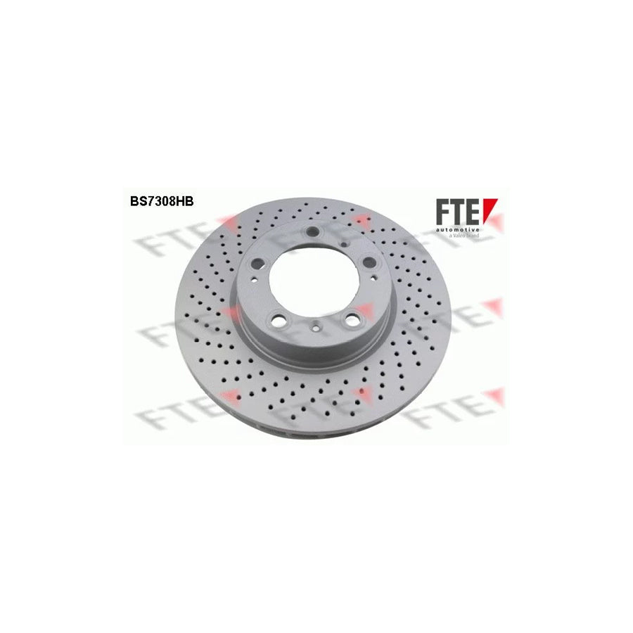 Fte 9081331 Brake Disc | ML Performance UK Car Parts