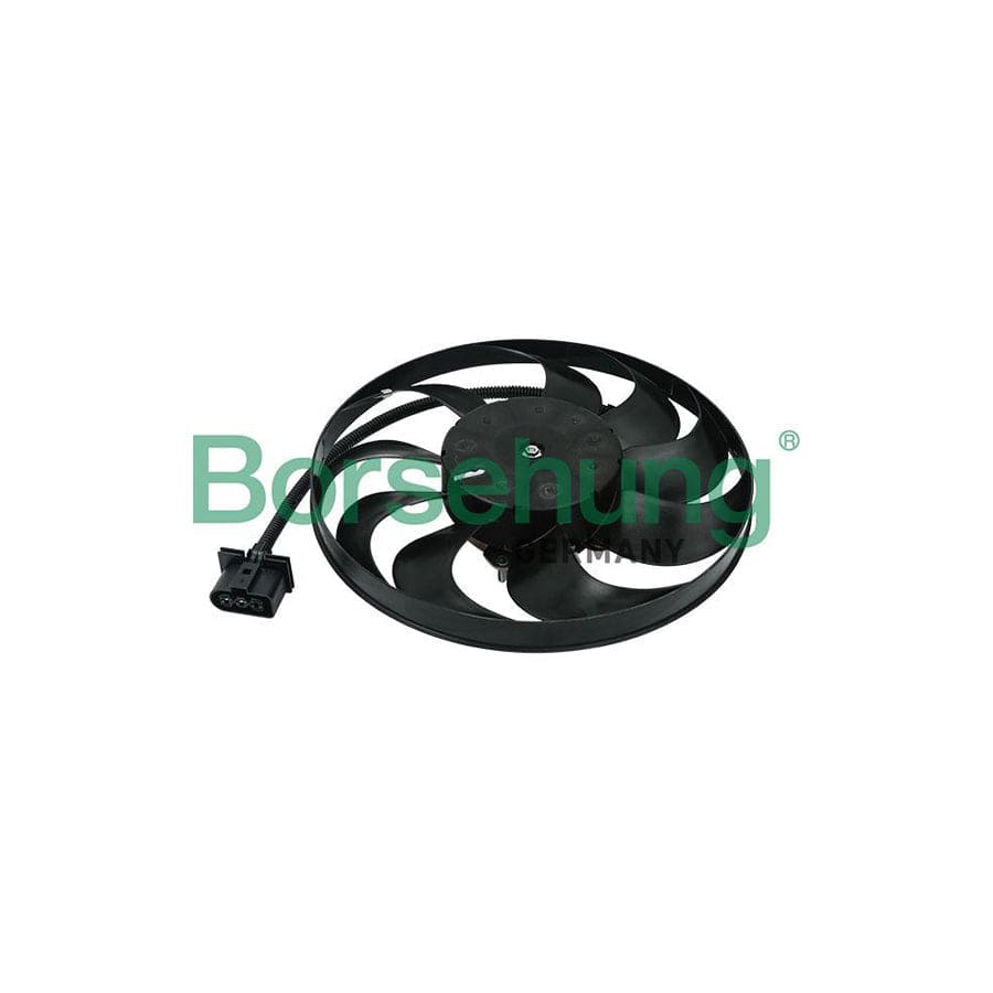 Borsehung B11493 Fan, Radiator