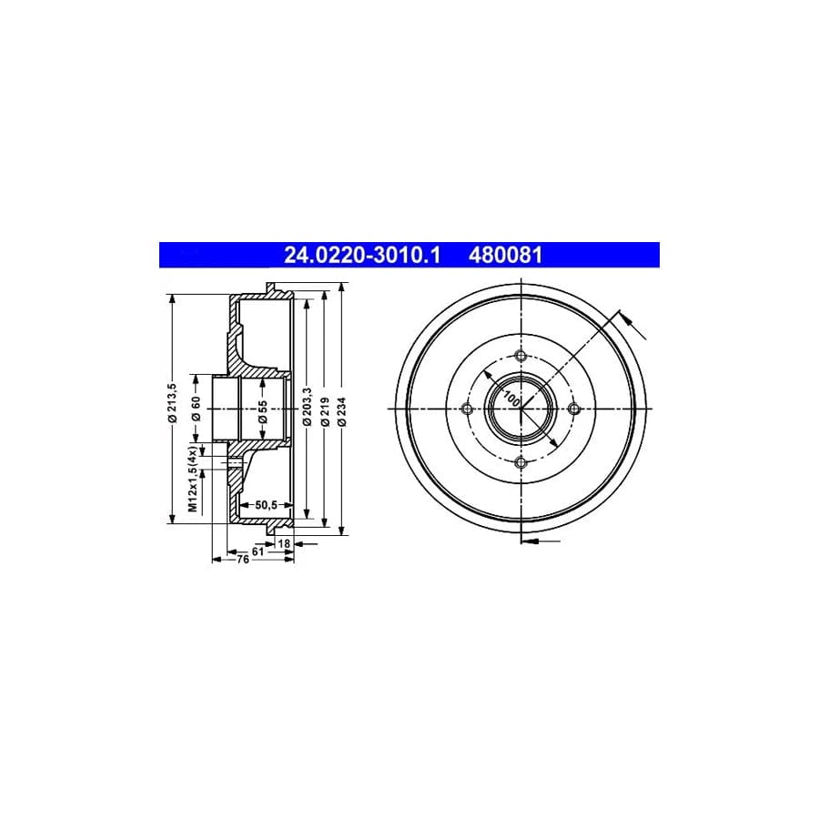 ATE 24.0220-3010.1 Brake Drum