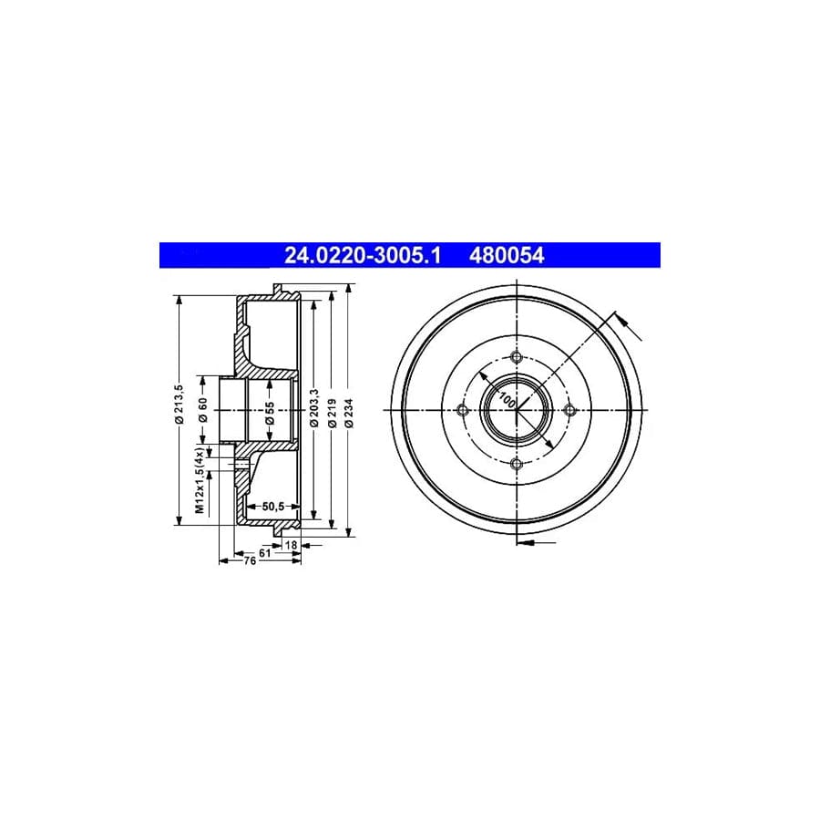 ATE 24.0220-3005.1 Brake Drum