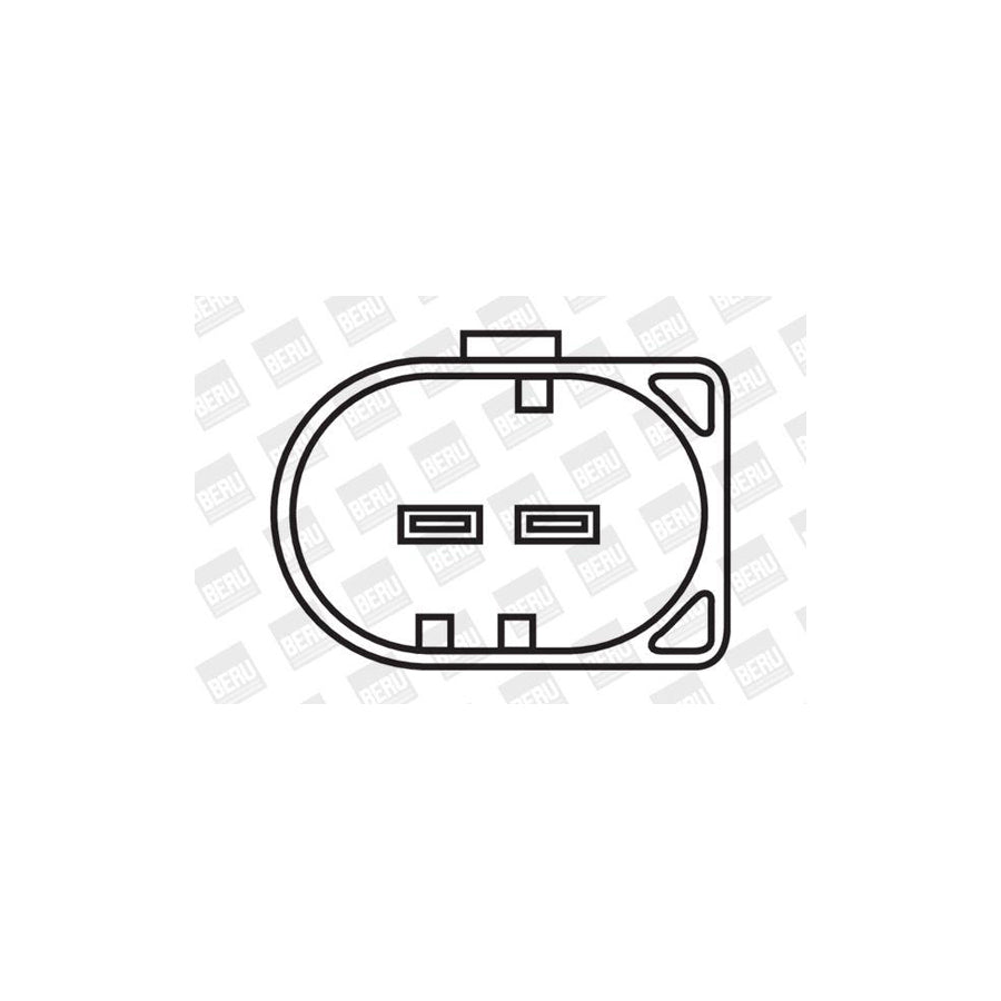 Beru ZS509 Ignition Coil