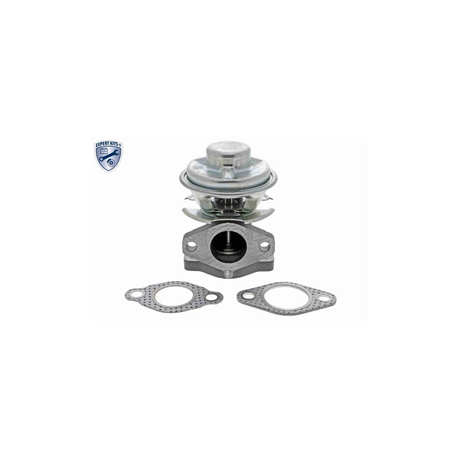 Ackoja A53-63-0004 Egr Valve For Kia Sedona I (Gq) | ML Performance UK