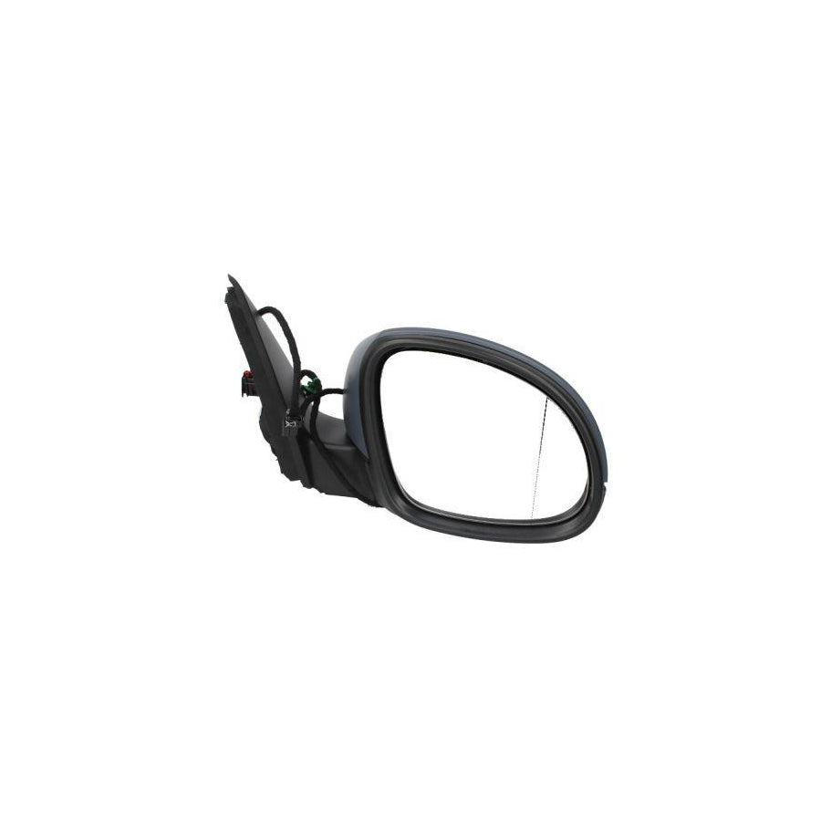 Blic 5402-04-9929130 Wing Mirror