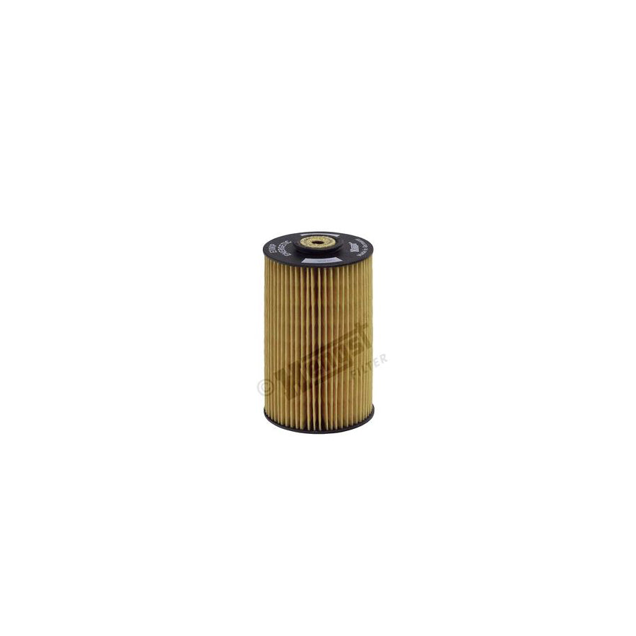 Hengst Filter E10Kp D10 Fuel Filter