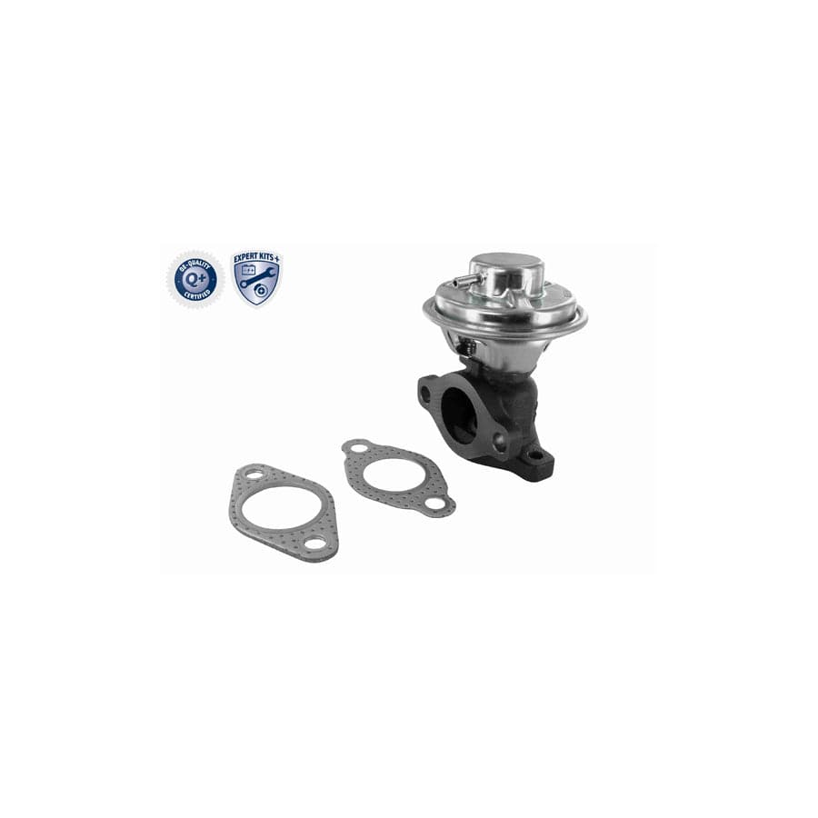 Ackoja A53-63-0002 Egr Valve For Kia Sedona | ML Performance UK