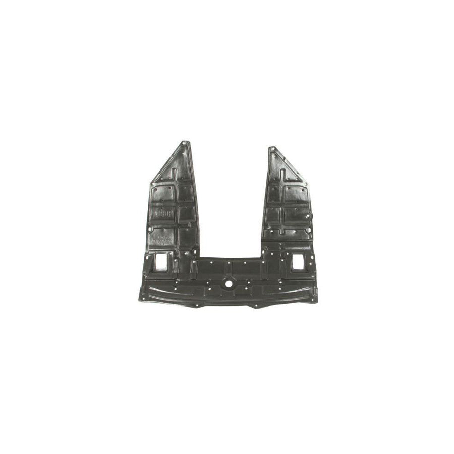 Blic 6601-02-1621860P Skid Plate