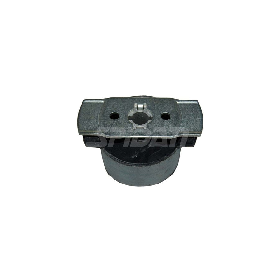 Spidan Chassis Parts 411720 Axle Bush For Renault Laguna | ML Performance UK Car Parts