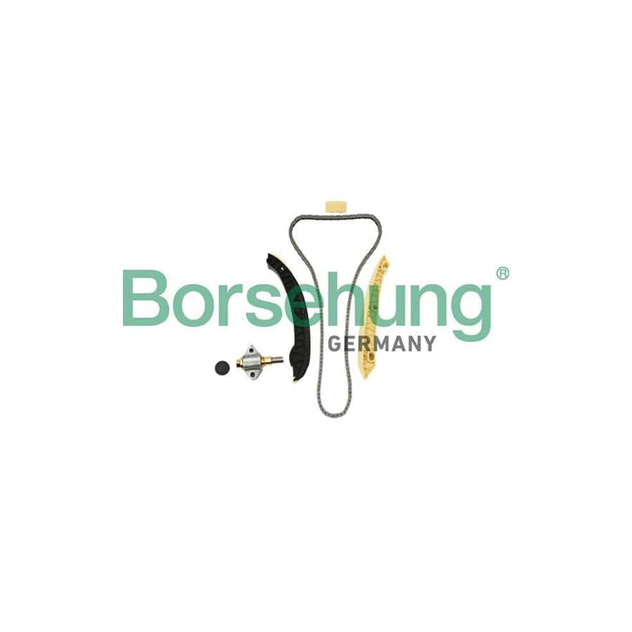 Borsehung B18857 Timing Chain Kit