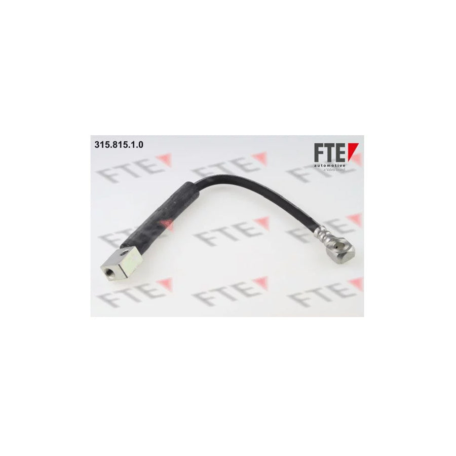 Fte 9240478 Brake Hose | ML Performance UK Car Parts