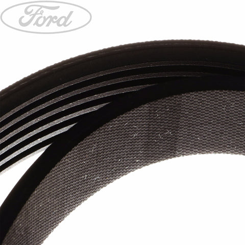 GENUINE FORD 1797879 DRIVE V BELT | ML Performance UK