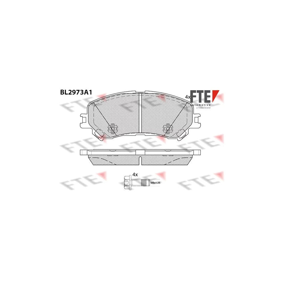 Fte BL2973A1 Brake Pad Set | ML Performance UK Car Parts