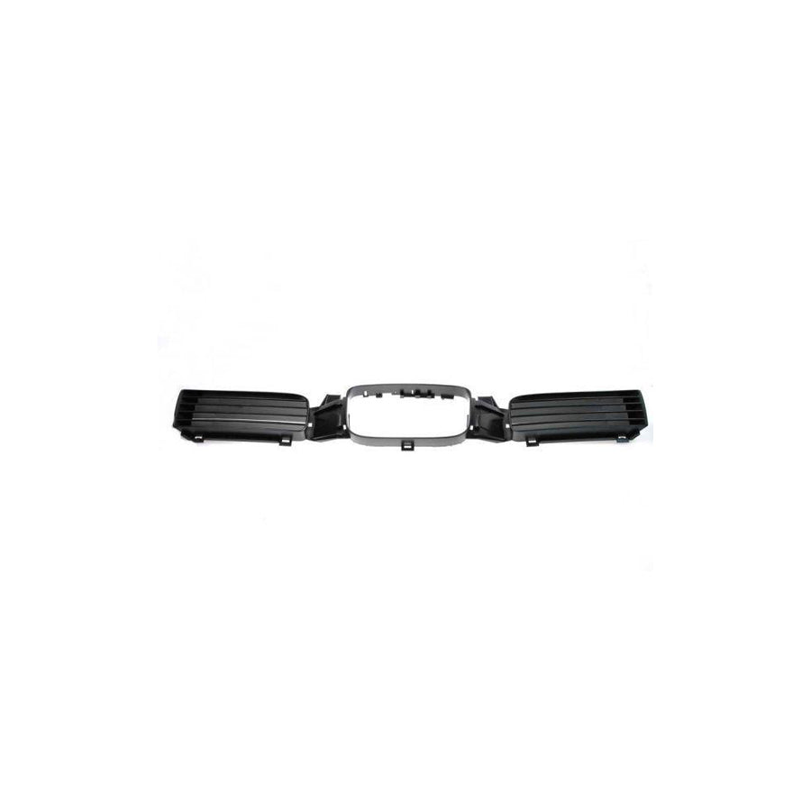 Blic 6502-07-6616993P Radiator Grille