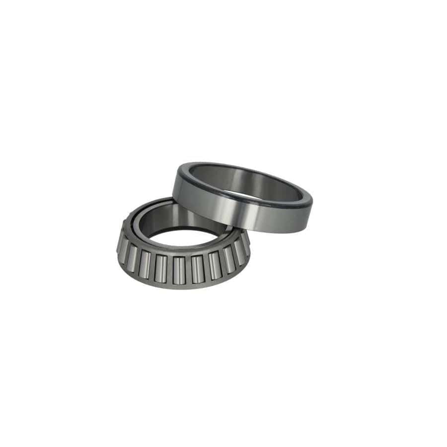 Bta B01-99041075 Wheel Bearing