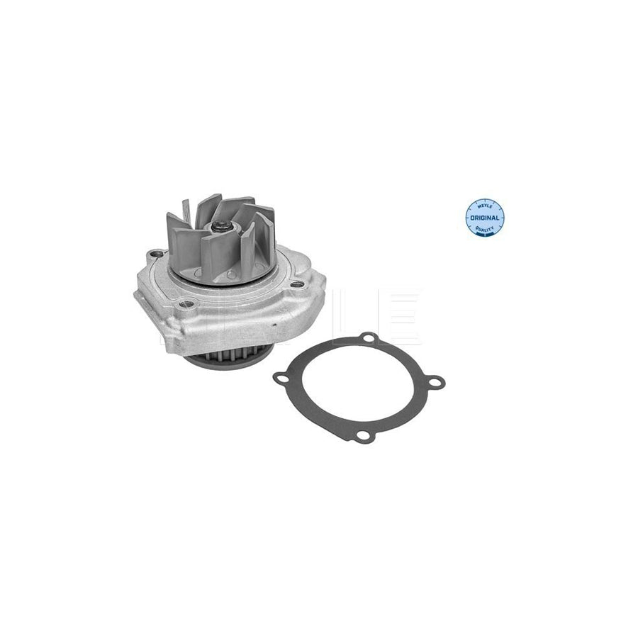 Meyle 213 220 0022 Water Pump