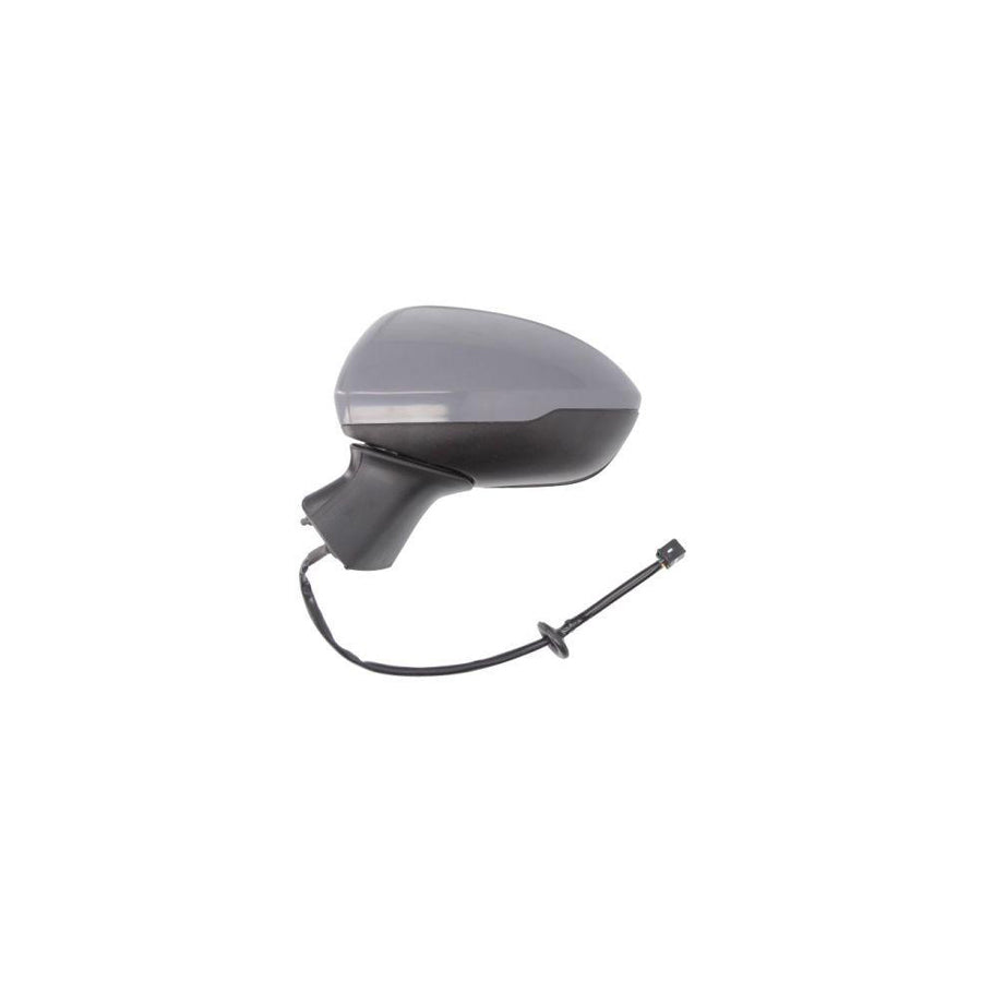 Blic 5402-04-0405293P Wing Mirror