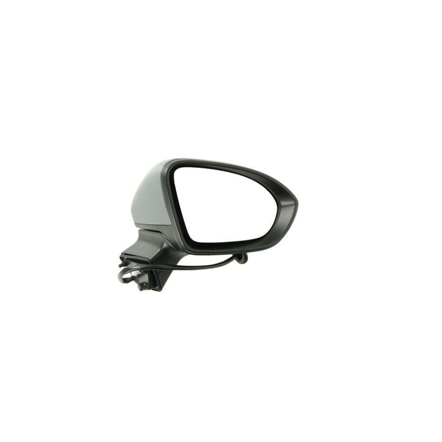 Blic 5402-04-0405292P Wing Mirror