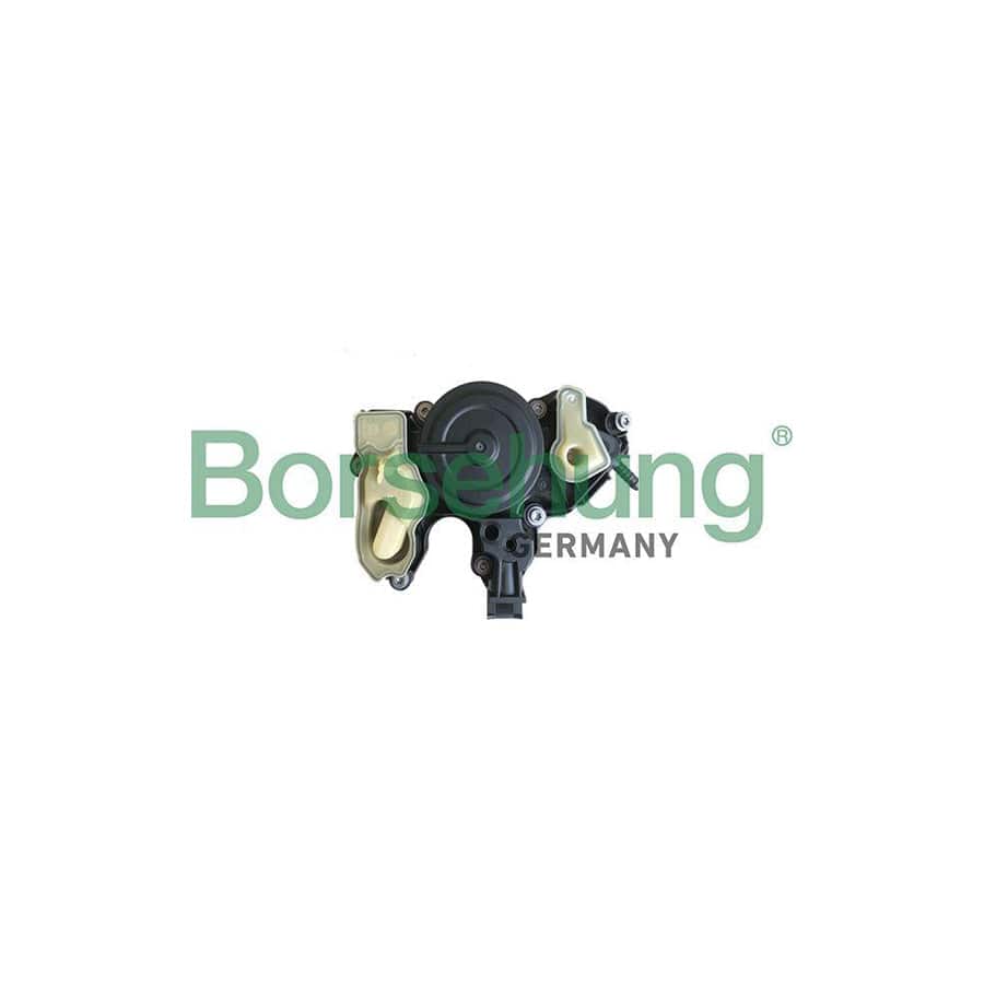 Borsehung B18956 Oil Trap, Crankcase Breather