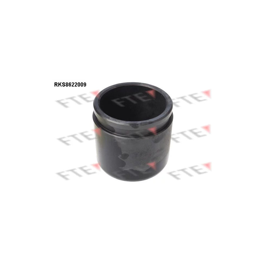 Fte 9313172 Piston, Brake Caliper | ML Performance UK Car Parts