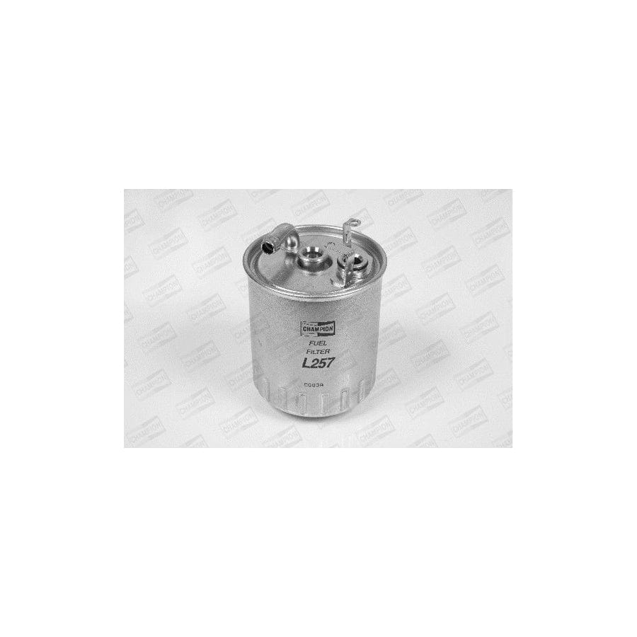 Champion L257/606 Fuel Filter