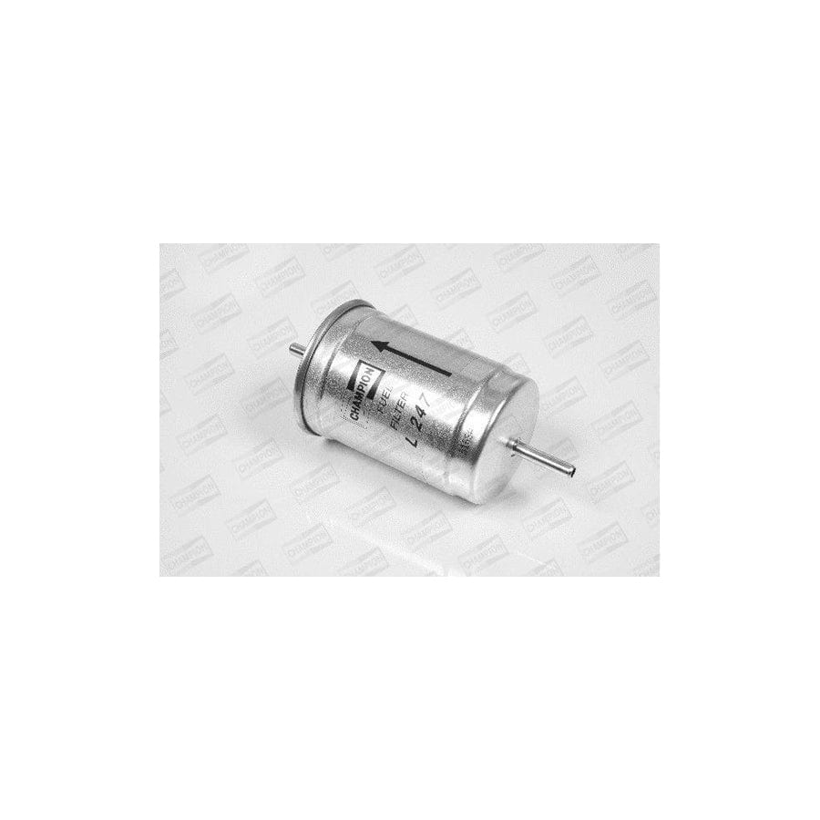 Champion L247/606 Fuel Filter