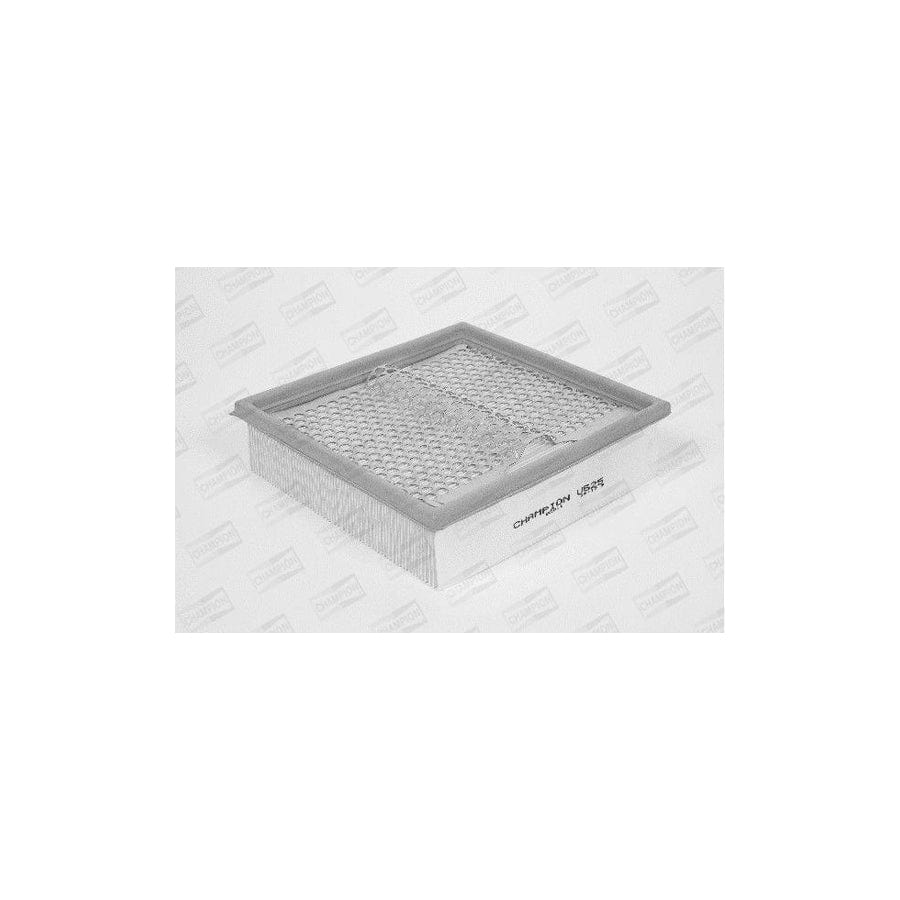 Champion U625/606 Air Filter