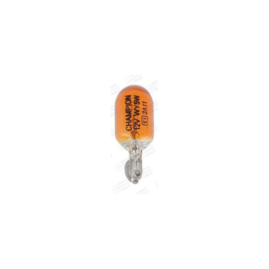 Champion CBM64S Bulb, Indicator