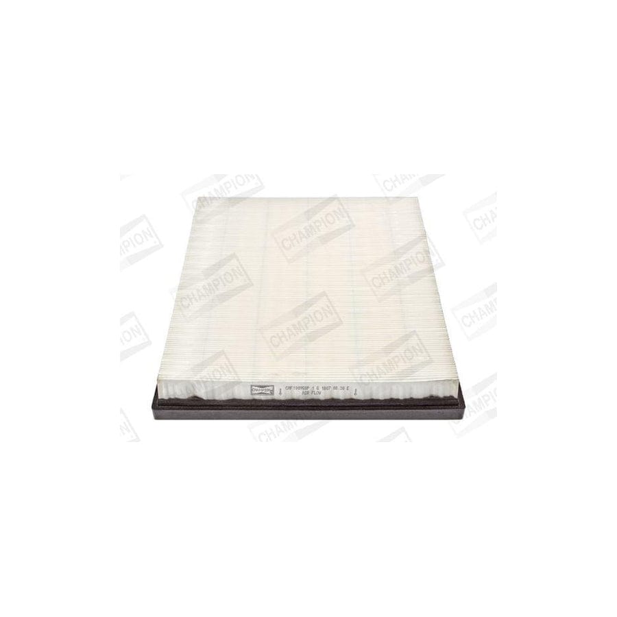 Champion CAF100958P Air Filter For BMW X5 (E70)