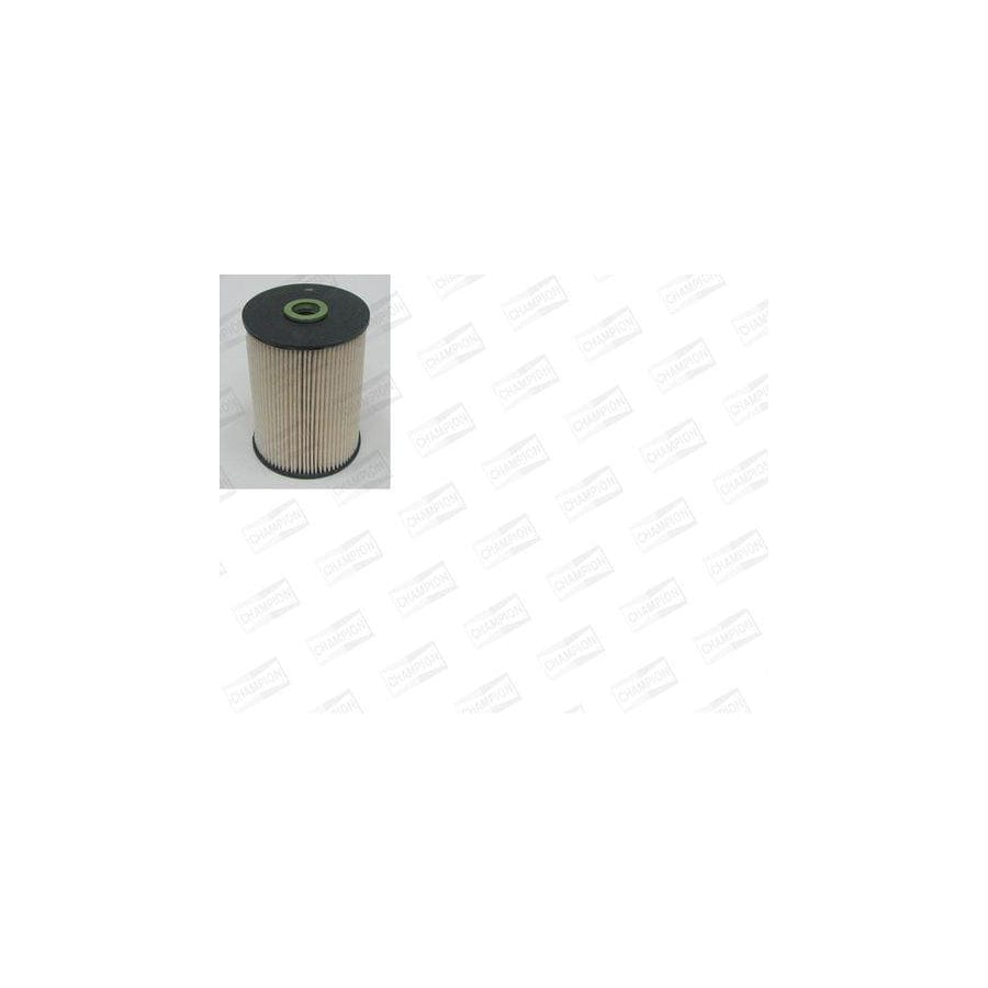 Champion L447/606 Fuel Filter