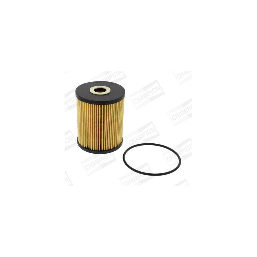 Champion Eon Titan COF100515E Oil Filter