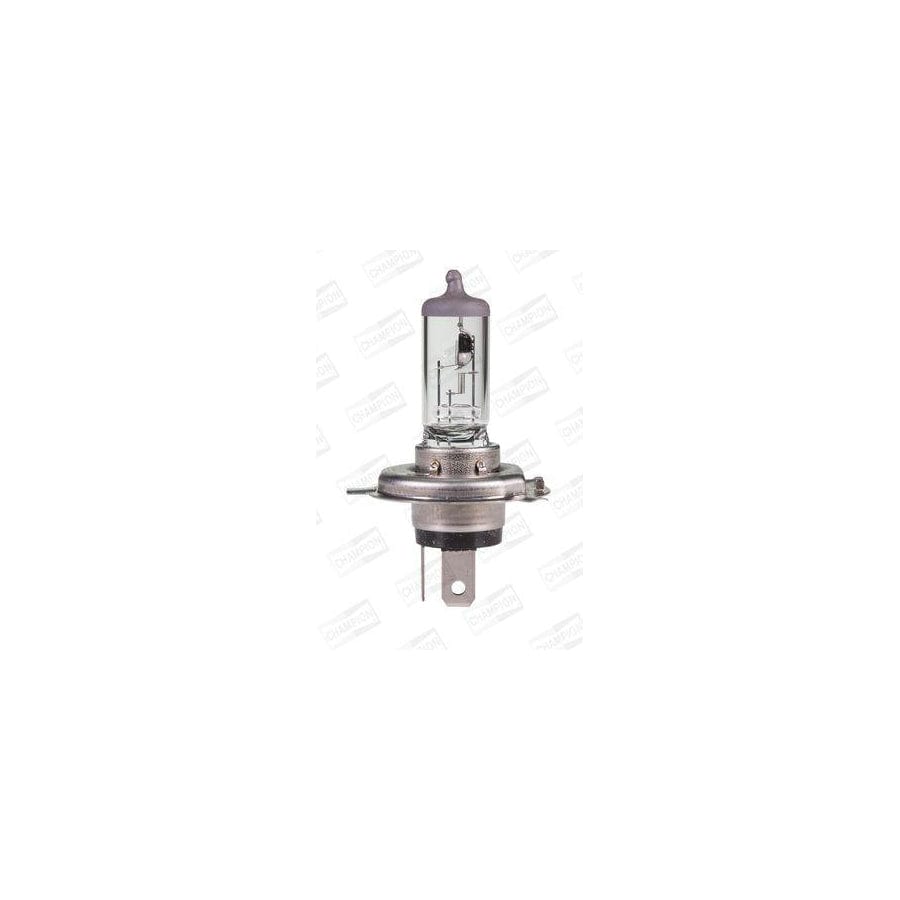 Champion Version: Long Lifetime CBH113L Bulb, Spotlight