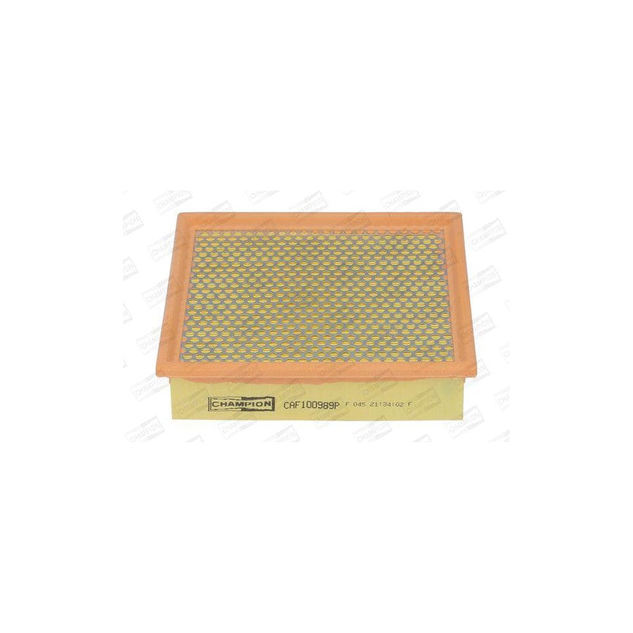 Champion CAF100989P Air Filter