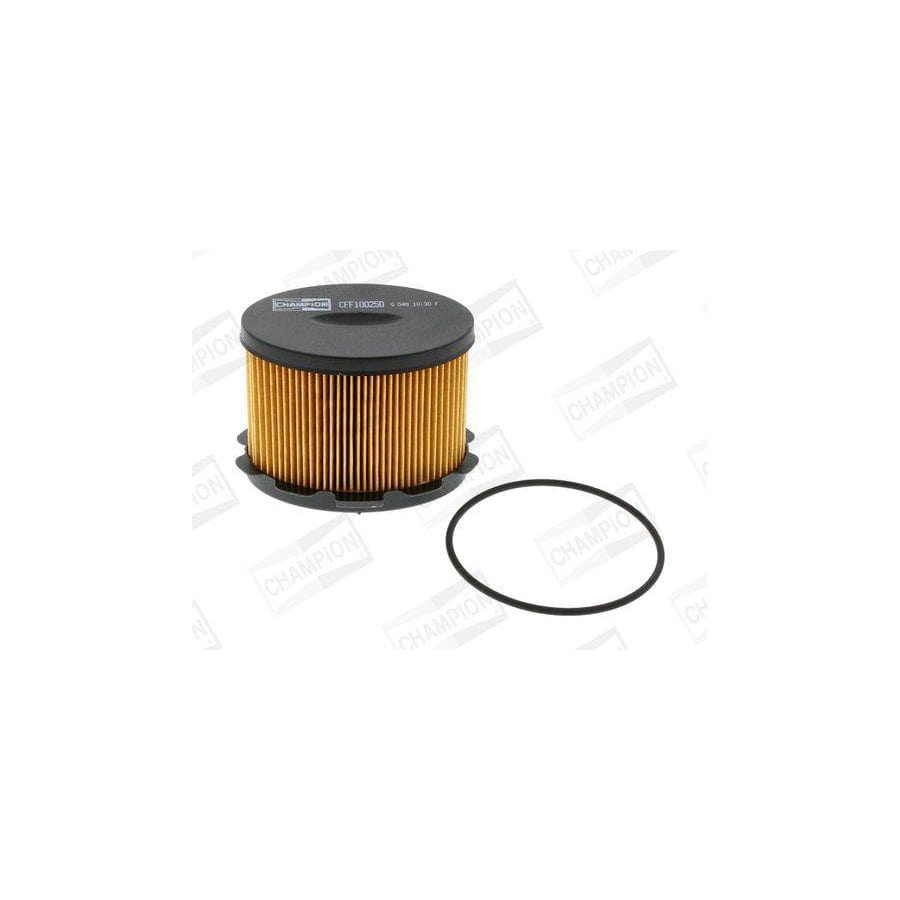 Champion CFF100250 Fuel Filter