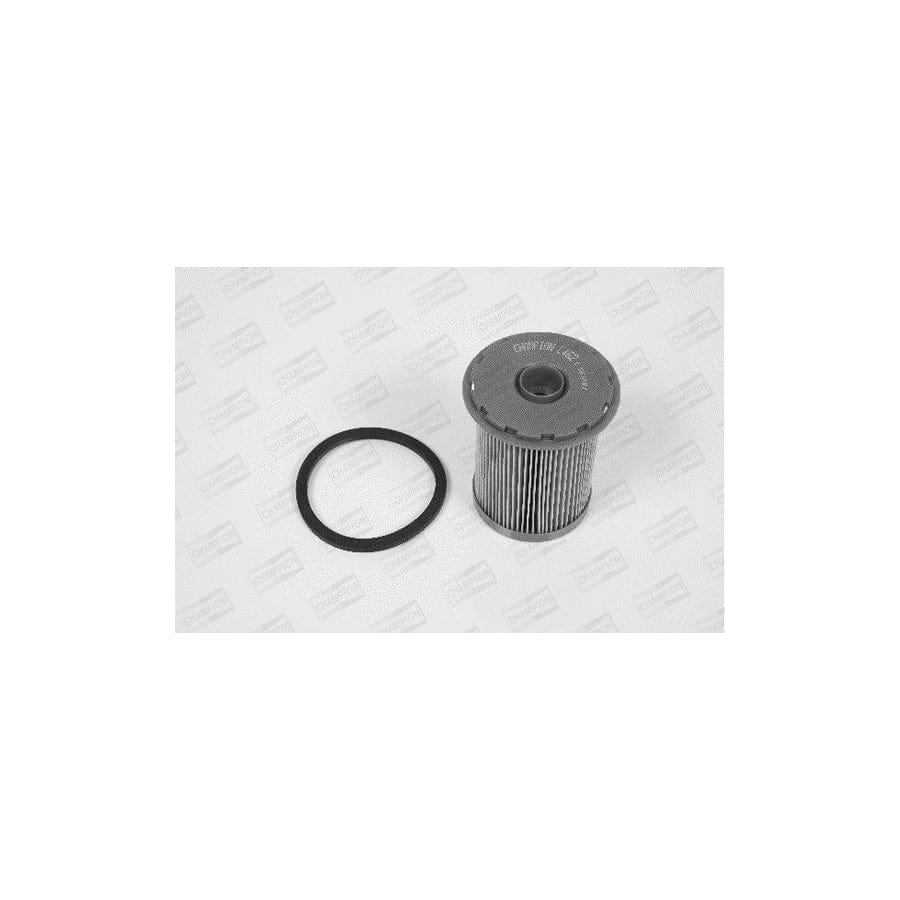 Champion L462/606 Fuel Filter