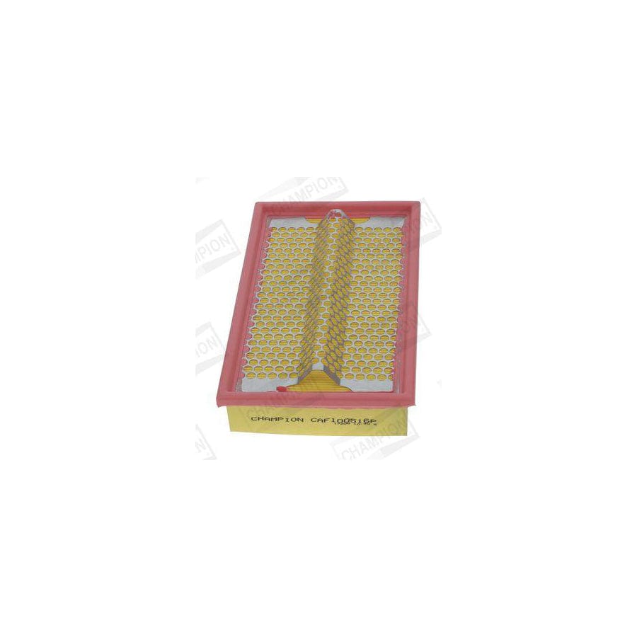 Champion CAF100516P Air Filter