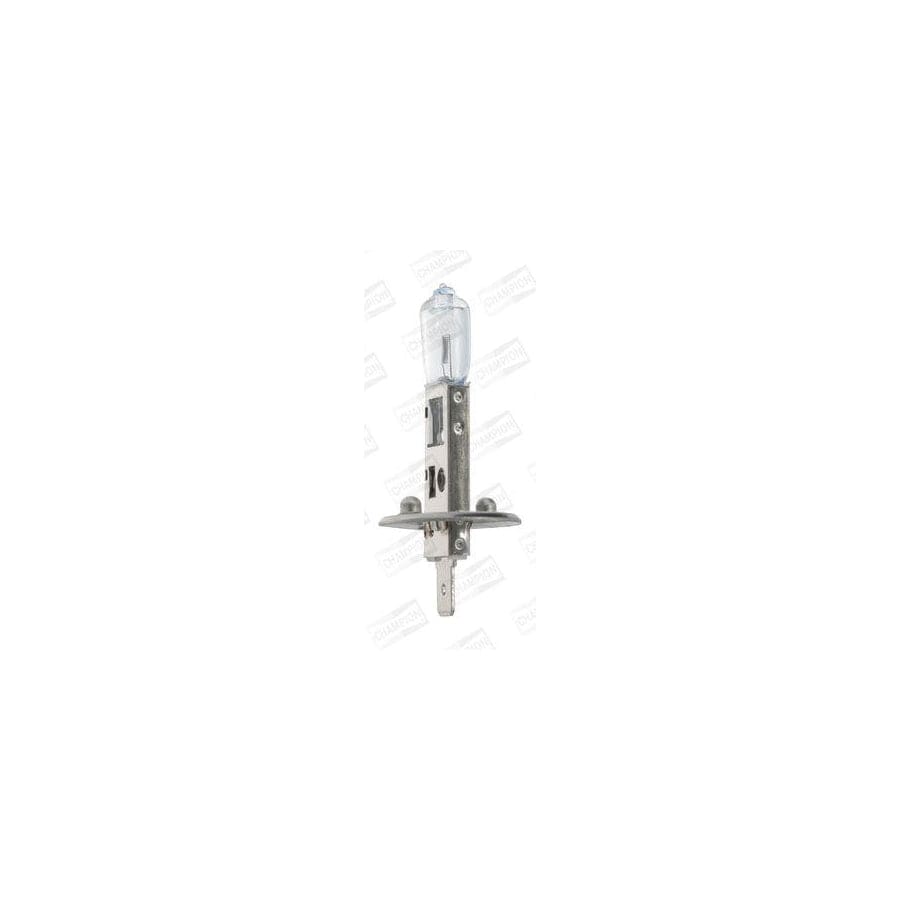 Champion Version: Blue CBH03B Bulb, Spotlight