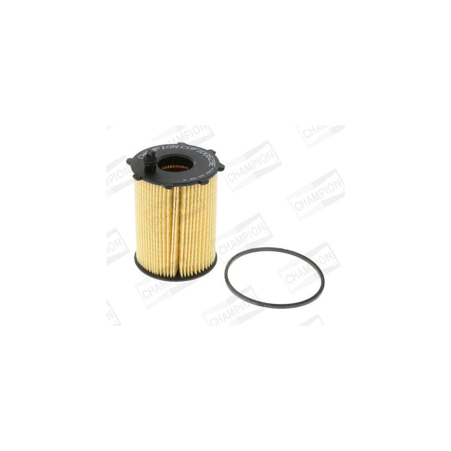 Champion Eon Titan COF100529E Oil Filter