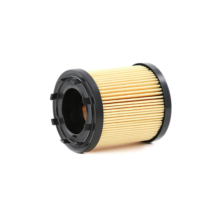 Champion Eon Titan COF100568E Oil Filter