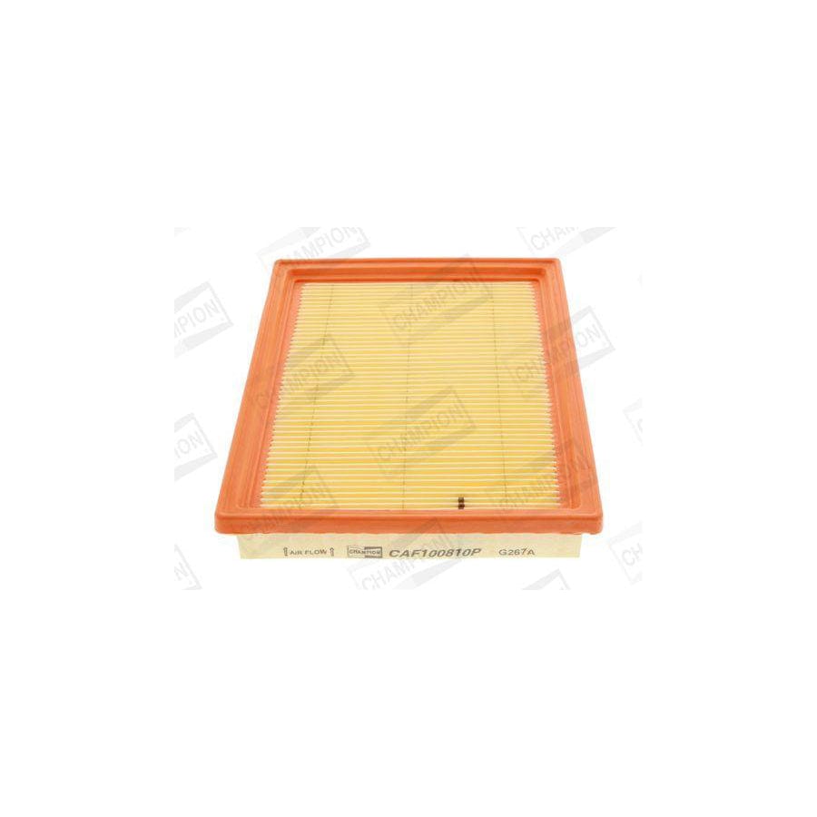 Champion CAF100810P Air Filter