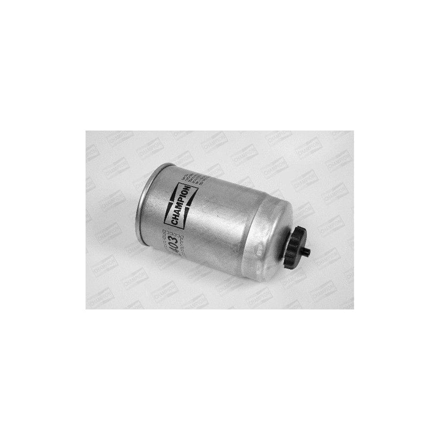 Champion L403/606 Fuel Filter