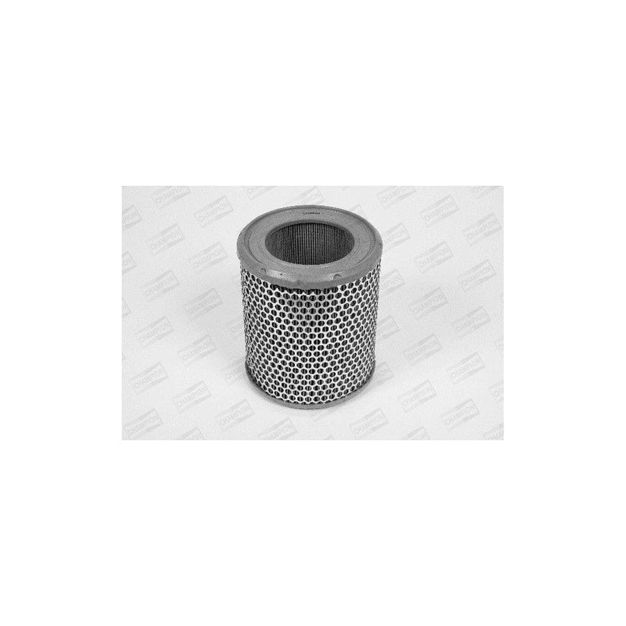 Champion V429/606 Air Filter