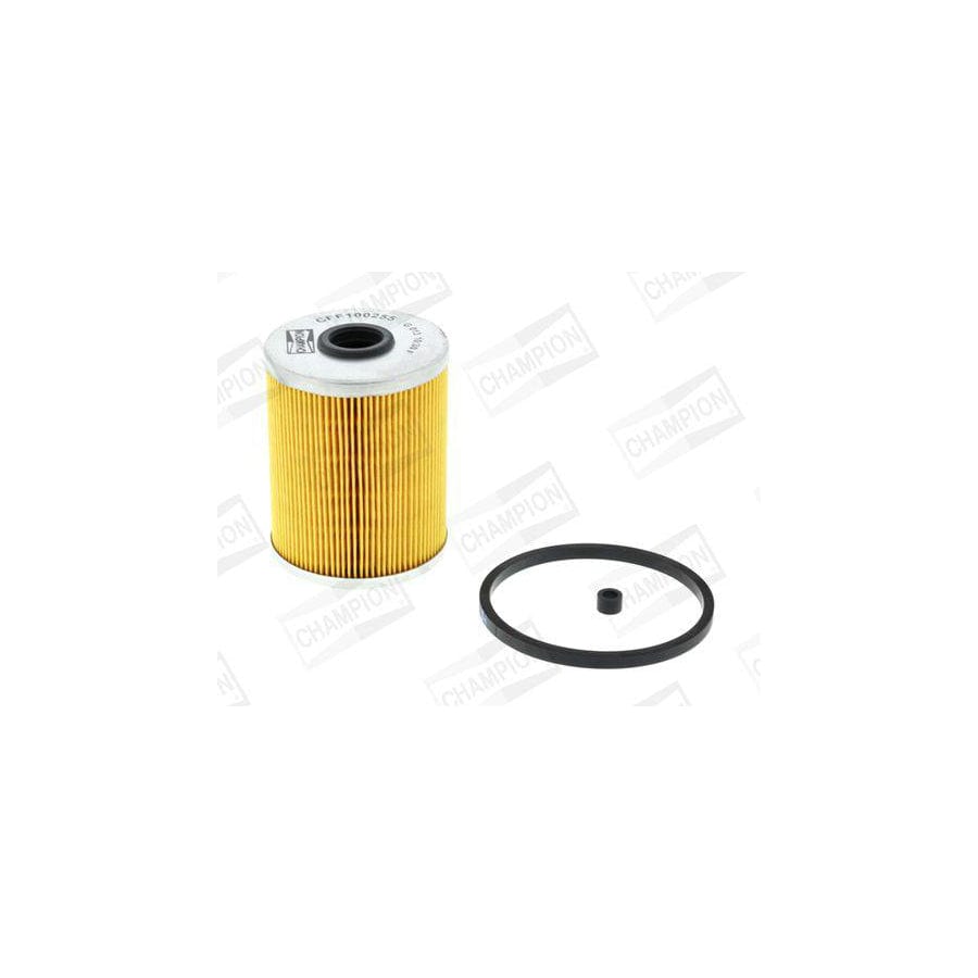 Champion CFF100255 Fuel Filter