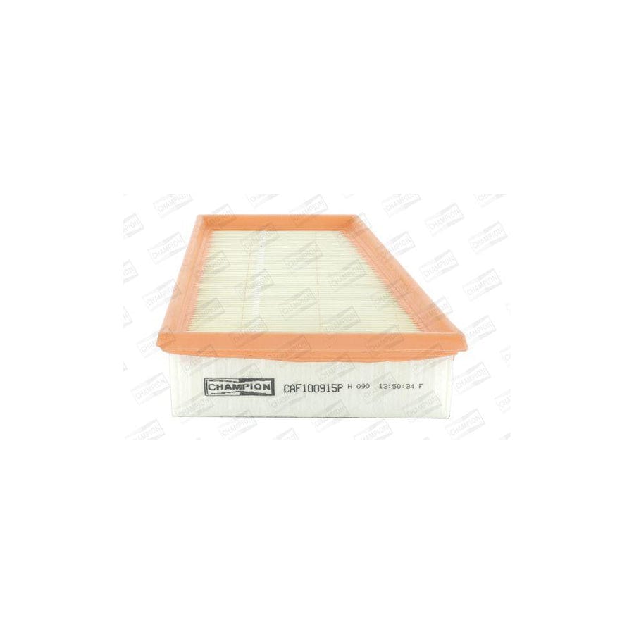 Champion CAF100915P Air Filter