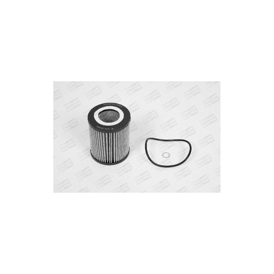 Champion Xe504/606 Oil Filter