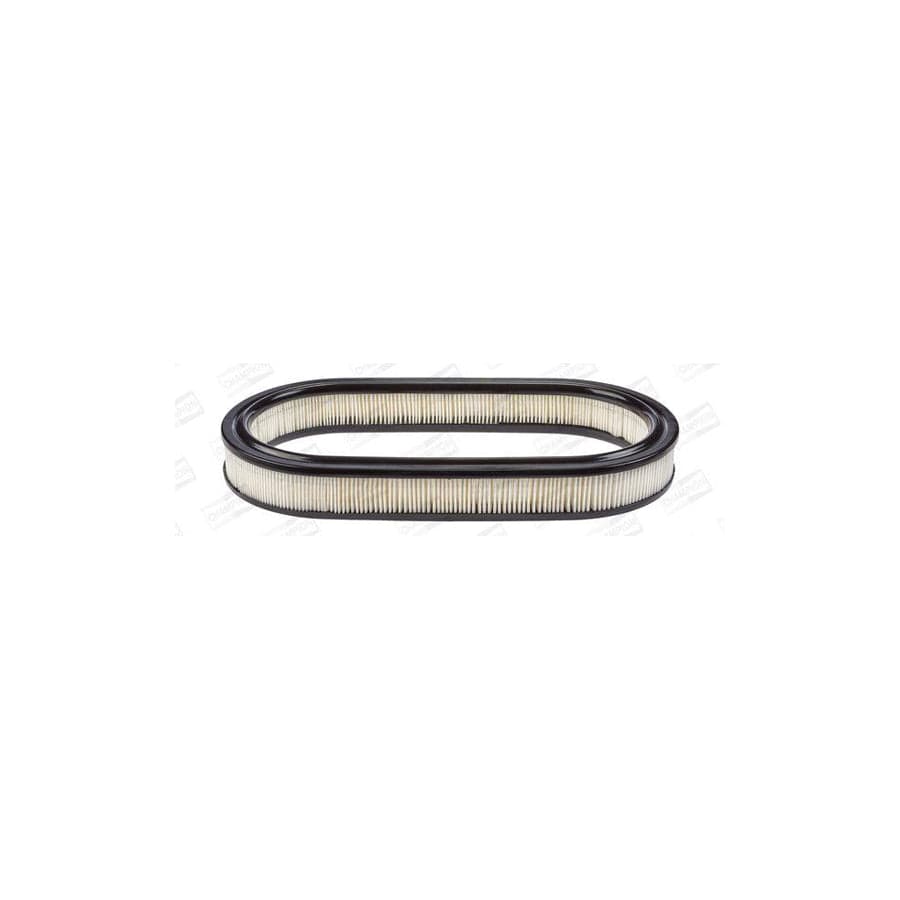 Champion CAF100226R Air Filter