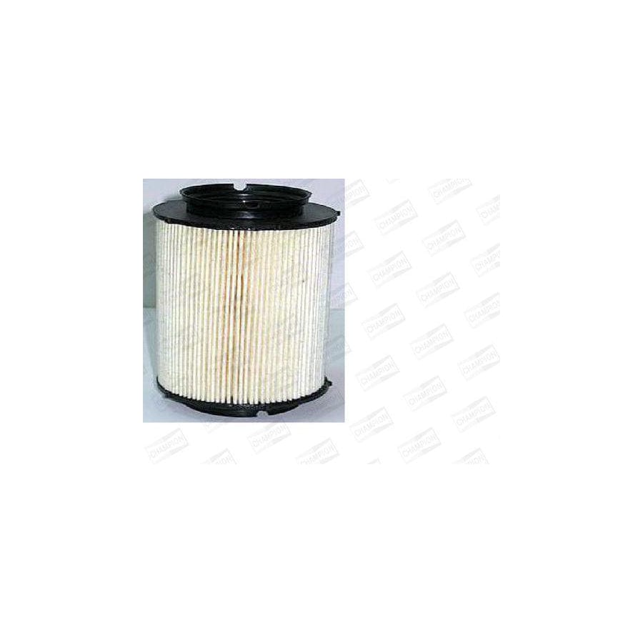 Champion L423/606 Fuel Filter