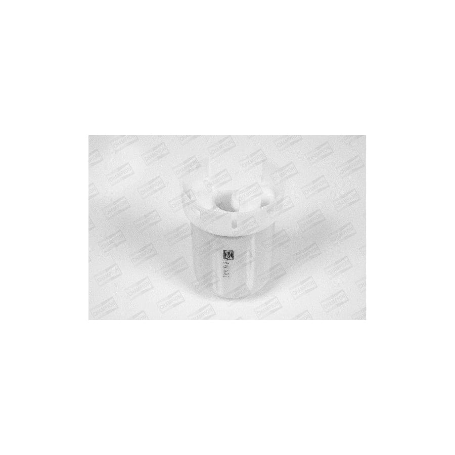 Champion L482/606 Fuel Filter