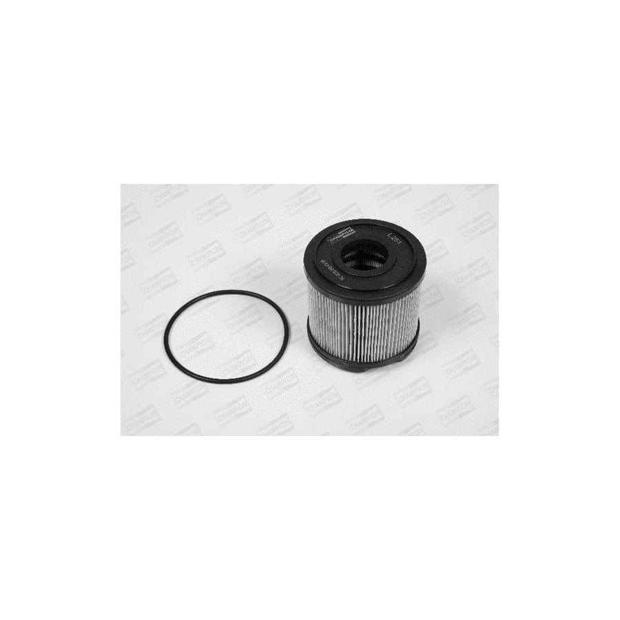 Champion L251/606 Fuel Filter