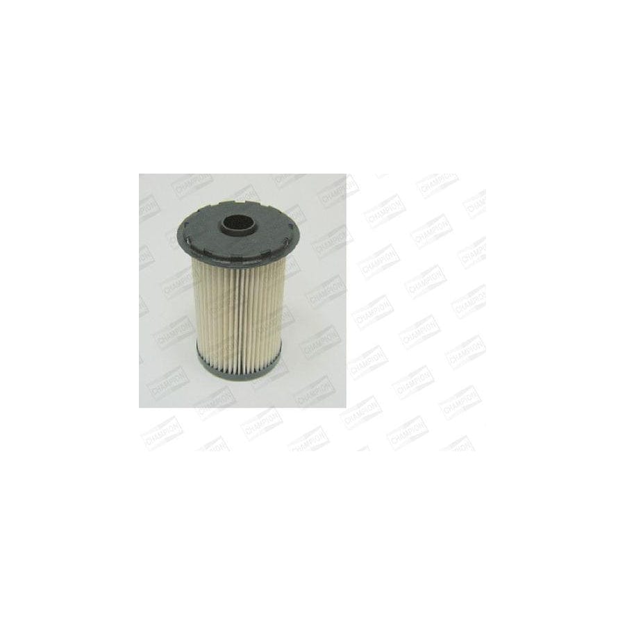 Champion L472/606 Fuel Filter