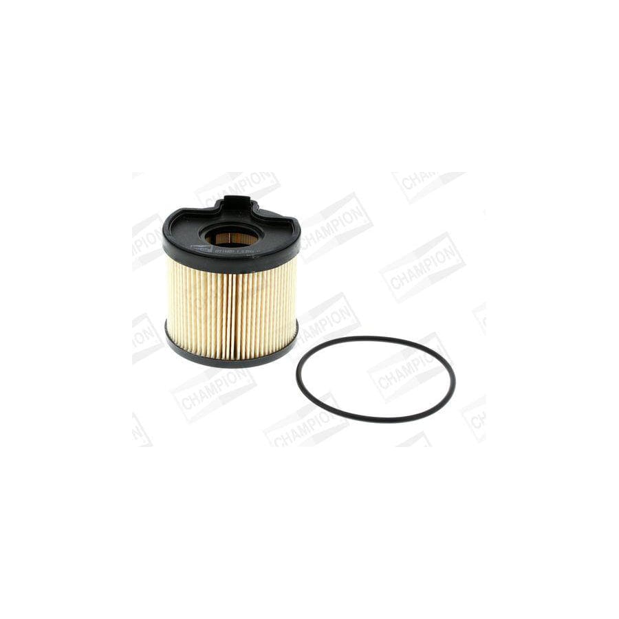 Champion CFF100251 Fuel Filter